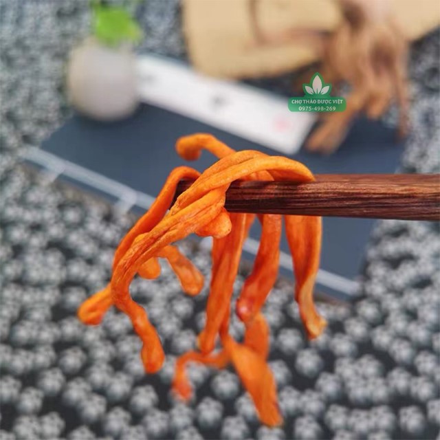 100g Đông trùng hạ thảo sấy khô hảo hạng vàng, thơm, bổ dưỡng