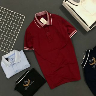 mẫu thêu Áo cổ bẻ mới
