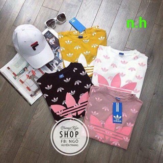 Áo phông adidas
