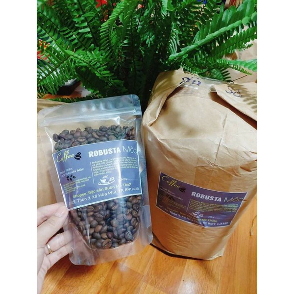 cafe Robusta 5kg