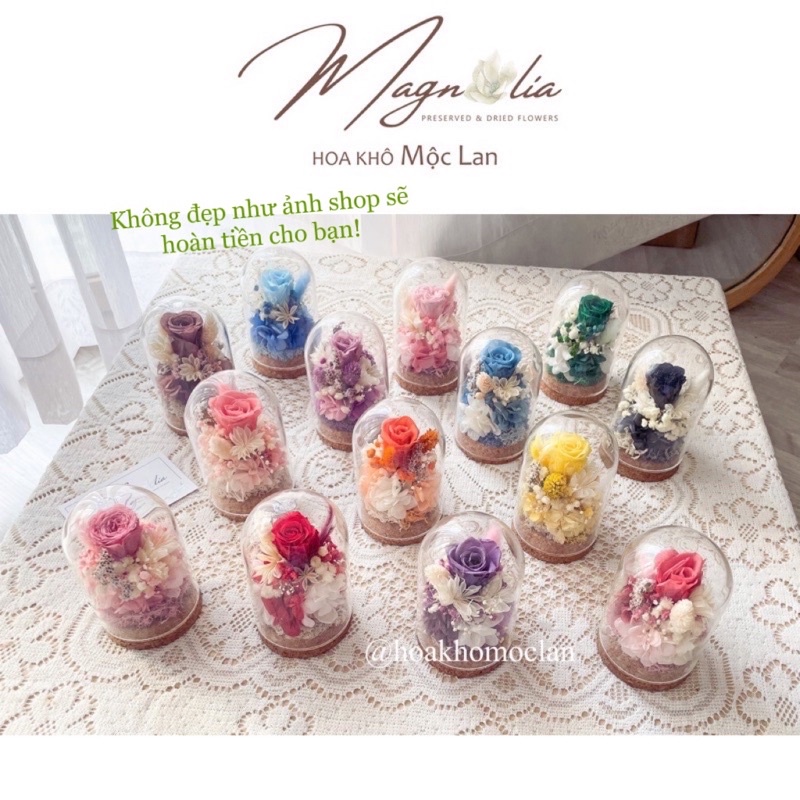Chụp thuỷ tinh hoa hồng vĩnh cửu (trụ mini), quà tặng sinh nhật, decor trang trí để bàn đẹp