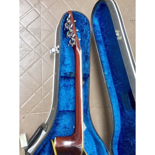 Đàn Guitar Acoustic Morris W-30