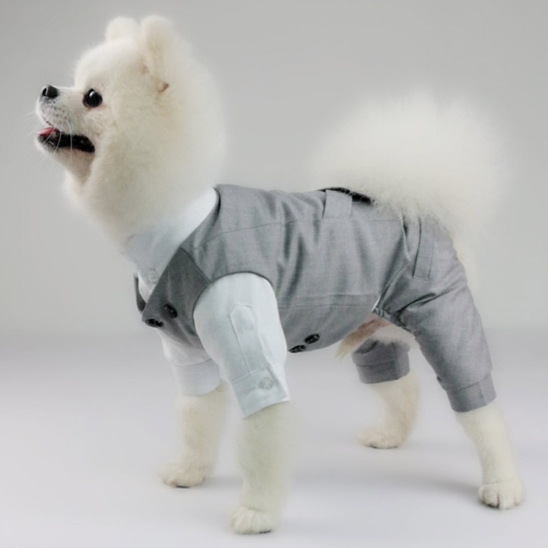 Áo Vest LịCh Sự Cho Thú Cưng