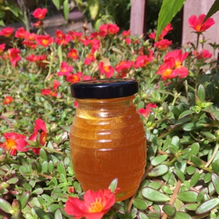 100ml mật ong rừng ruồi nguyên chất