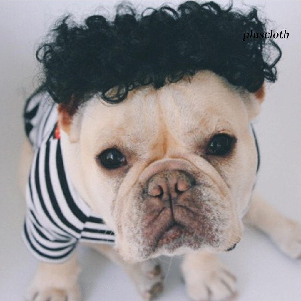 Tóc Giả Hóa Trang Cho Thú Cưng