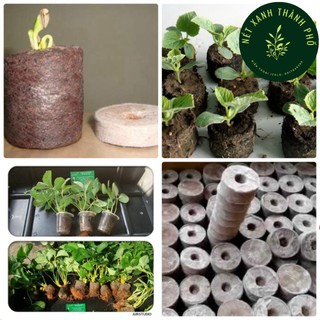 Viên Nén Xơ Dừa (Viên Nén Ươm Hạt Giống) 10 viên, Tiện Lợi, Tiết Kiệm Thời Gian, Nảy Mầm Tốt Hơn