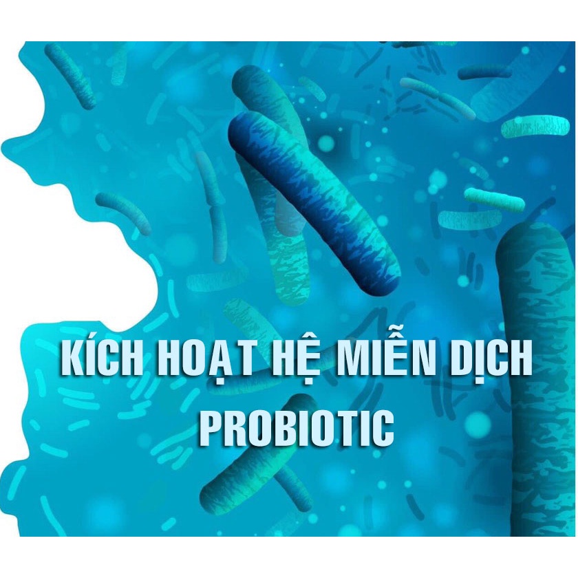 Men vi sinh LACCLEAN GOLD bổ sung lợi khuẩn hỗ trợ tiêu hoá đường ruột - SUN STORE