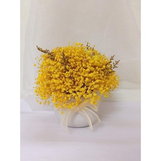 Combo hoa khô mix kèm lọ decor phòng