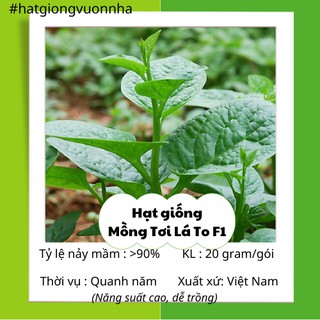 Hạt giống mồng tơi rado - gói 15 gram