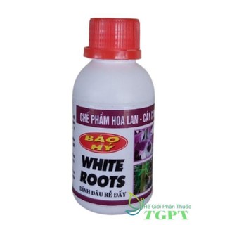 White roots - siêu kích rễ báo hỷ - dính đâu rễ đấy - 100ml