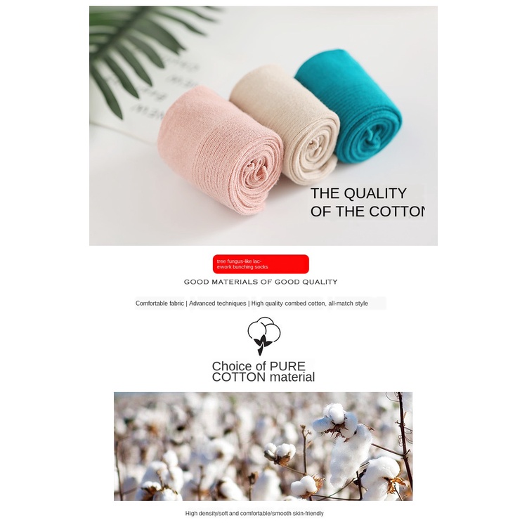 Vớ Cotton Màu Trơn Chất Lượng Cao Thời Trang Cho Nữ