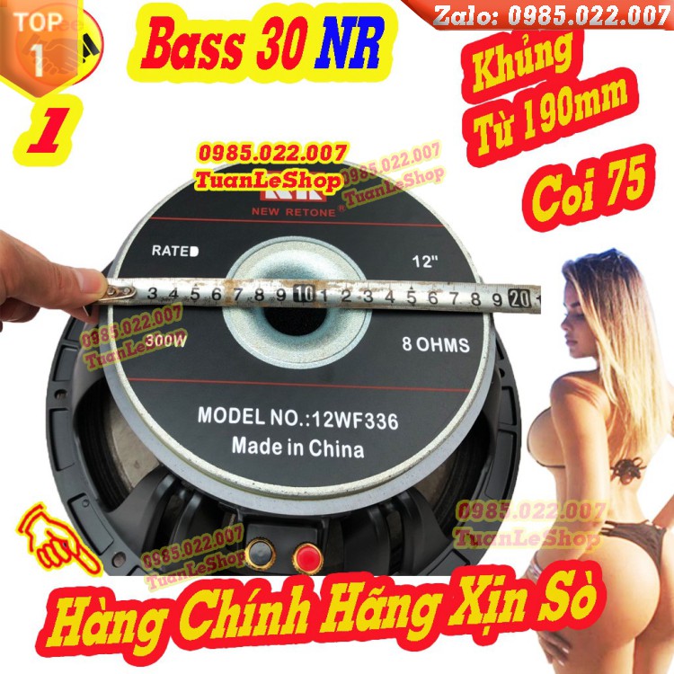 MỘT CỦ LOA KARAOKE BASS 30 NR AUDIO CHÍNH HÃNG - TỪ 190 CÔN 75 – LOA 3 TẤC