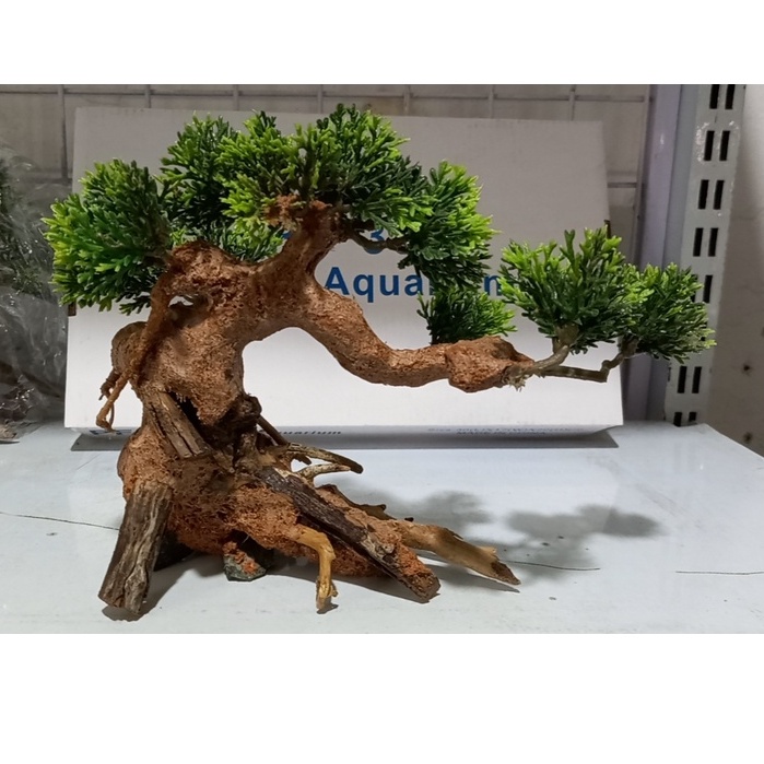 Lủa bon sai ghép cây nhựa trang trí bể cá