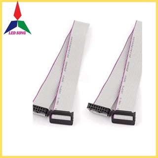Đầu Cáp Ma Trận 100 Bộ