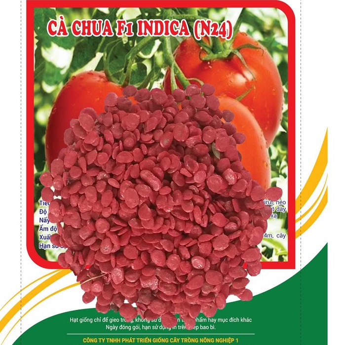 Hạt giống Cà Chua trái trứng F1 INDICA_Cà Chua Chịu Nhiệt Ấn độ 2gr
