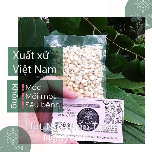 Ngô nếp khô- bắp khô nguyên hạt nấu xôi ngô- xôi bắp nhão sạch tại gia 500gr Yenlanhnatural