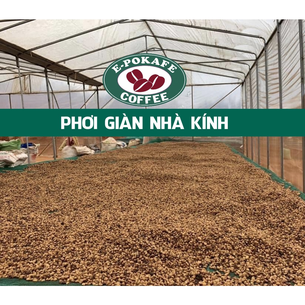 Robusta Honey Blend Arabica, cafe rang xay nguyên chất pha máy, pha phin từ E-POKAFE | BigBuy360 - bigbuy360.vn