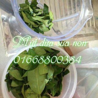 MỨT DỪA SỮA NON SIÊU MỀM