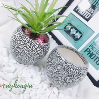 Chậu men sứ rạn mini (không kèm cây)
