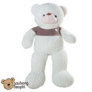 Gấu bông khổ vải 2m
