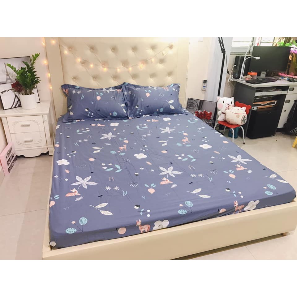 rẻ nhất Bộ ga gối 2m2 cotton hàn quốc 100%