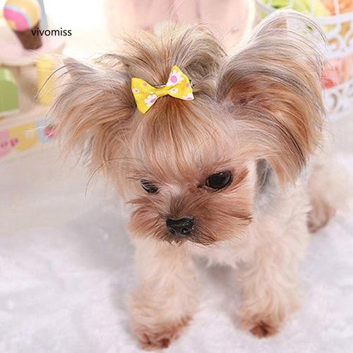 Bộ 6 kẹp tóc hình nơ dành cho thú cưng