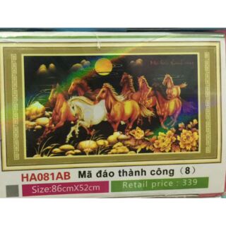 Freeship 99k tq_tranh đá