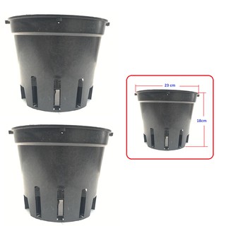 Set 2 chậu nhựa trồng lan số 6 đường kính 23cm cao 18cm