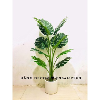 Cây giả trang trí cao cấp - cây lá xẻ 120cm Hằng decor