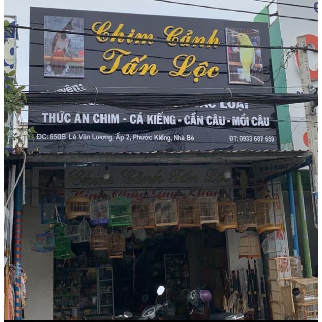 [HT779] PT Thức Ăn Chích Choè Anh Thông 550gr - Cám Chim Chích Choè Than Lửa