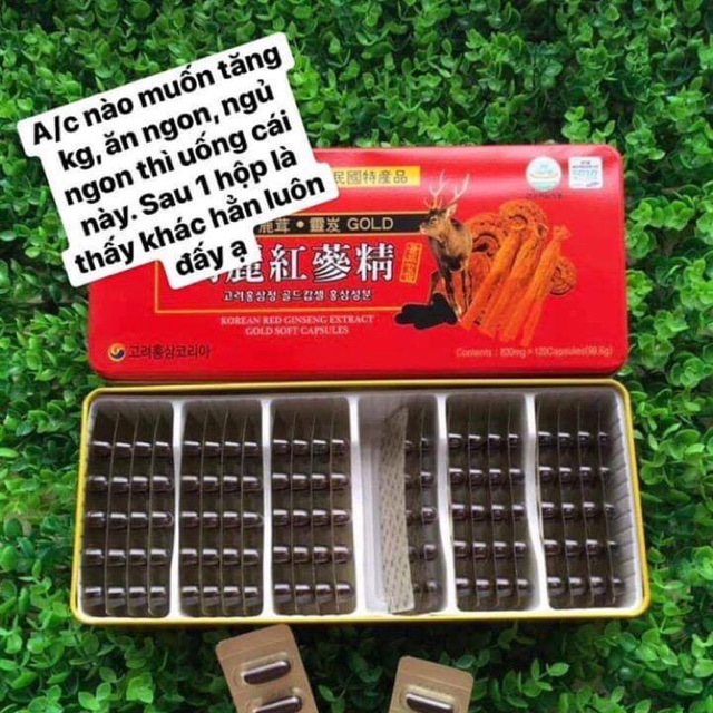 Đạm Hồng Sâm
