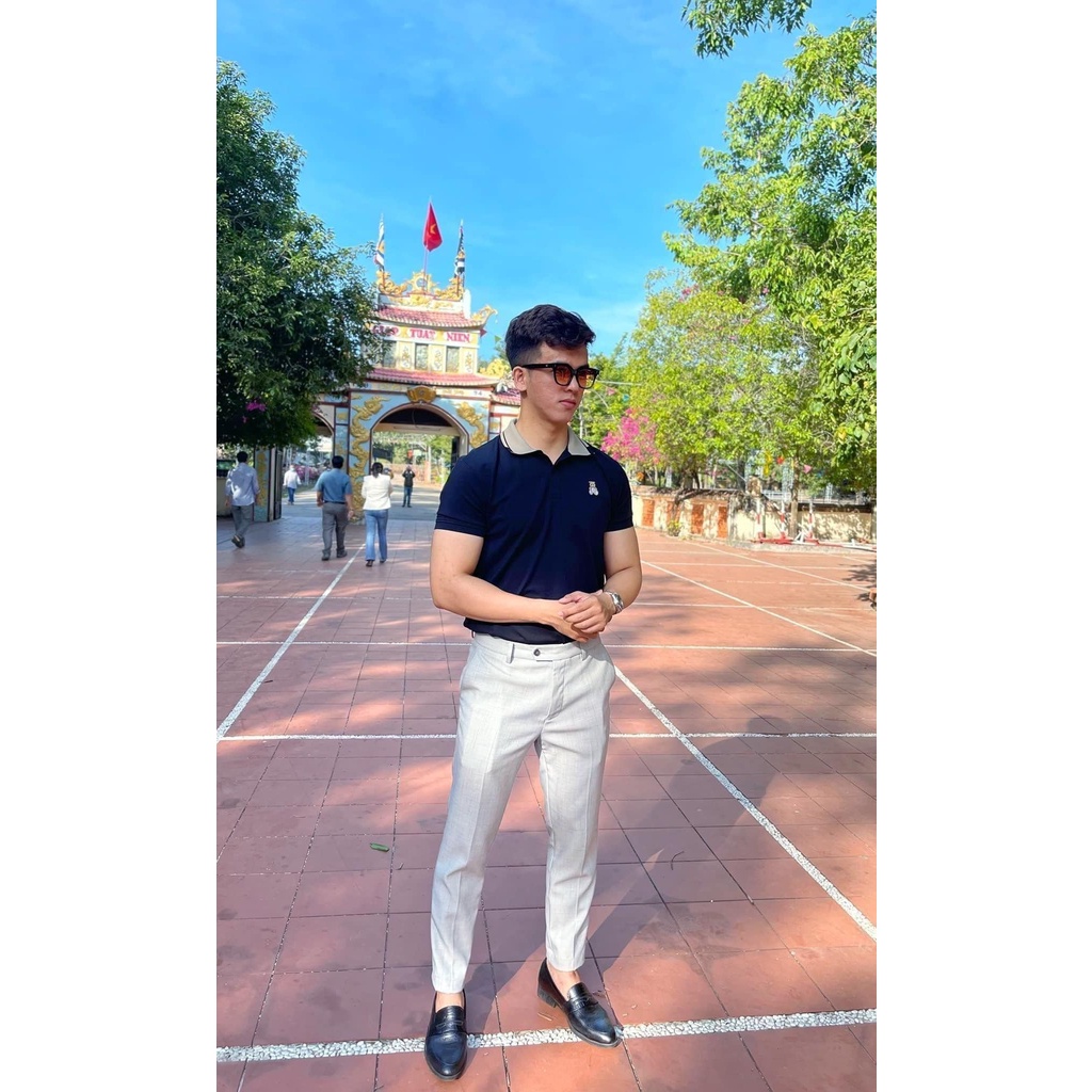 Áo Thun Cổ Bẻ, Áo Polo Nam Cotton mềm mịn Thêu Gấu