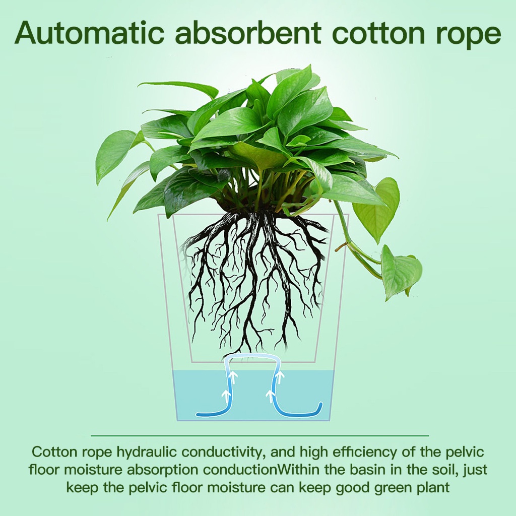 1 Dây Bấc Cotton Thấm Hút Nước Màu Trắng Trồng Cây Cho Sân Vườn