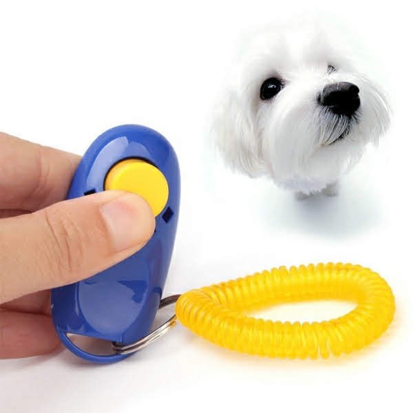 Đồ chơi chó Clicker BENE huấn luyện poodle, husky, corgi, pom,.. nhanh hiệu quả