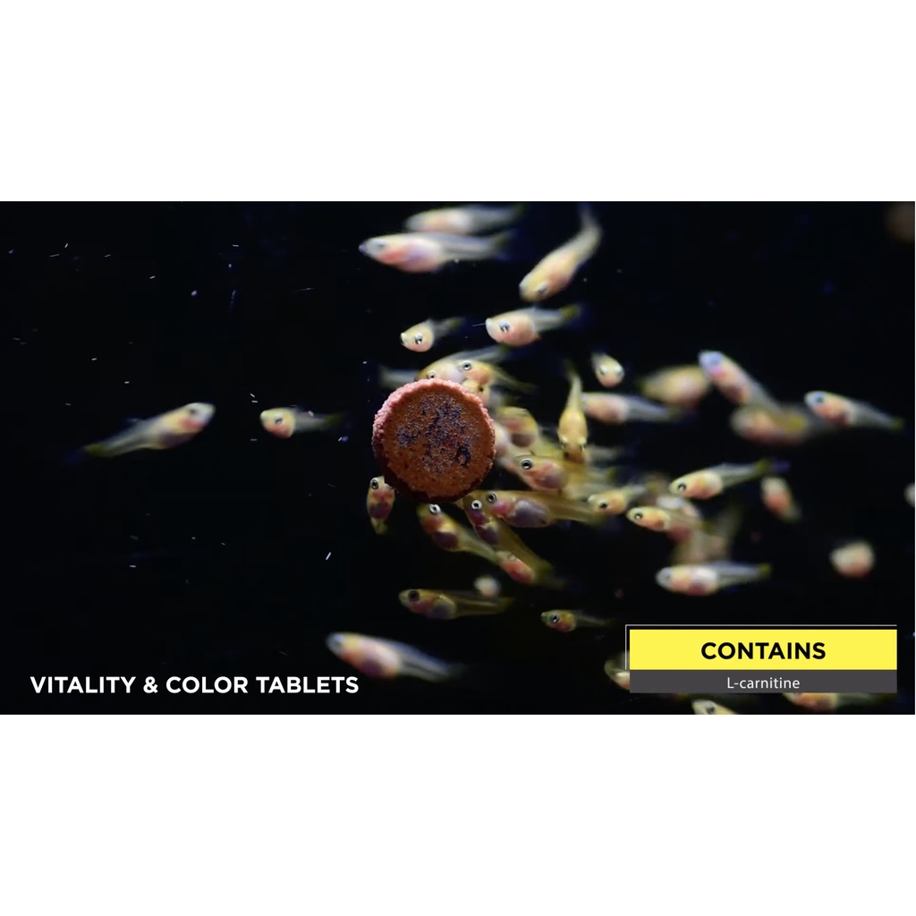 Thức ăn viên dán Tropical Vitality&Color Tablets - Cám dán cho cá bán chạy nhất thế giới tăng màu sắc& đề kháng