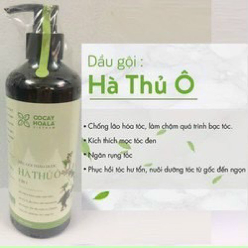 Dầu gội thảo dược Hà Thủ Ô 800ml