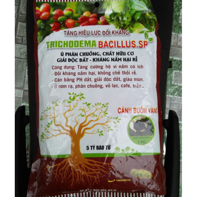 Nấm Đối Kháng Trichoderma - Bacillus.sp