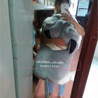 - gấu bông mặt nhăn size to bự nhất