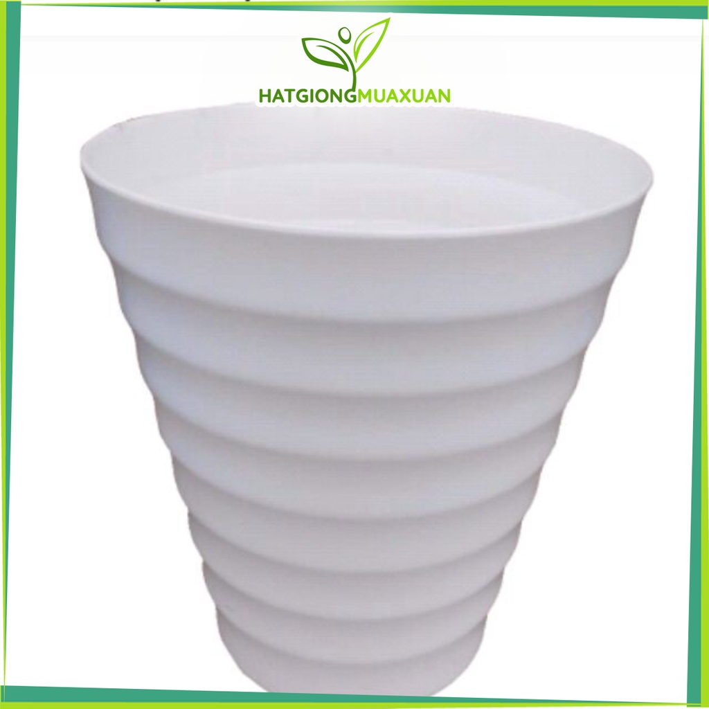 [HOT] 10 Chậu  nhựa tròn cao xoắn 25×30cm c/lượng, hg C/ty.