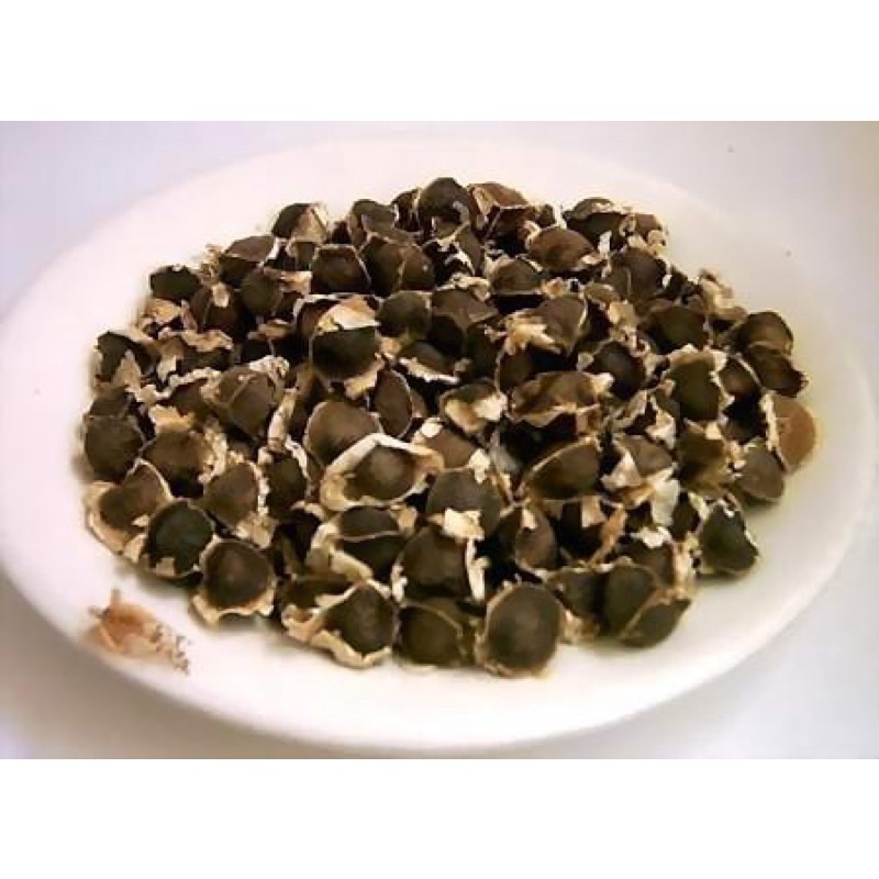 500G Hạt chùm ngây khô