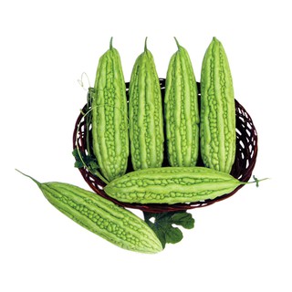 10H - HẠT GIỐNG KHỔ QUA XANH