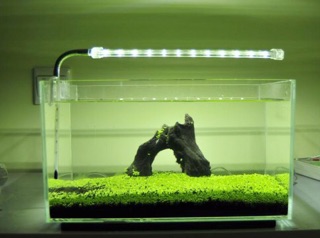 Đèn led kẹp vipsun
