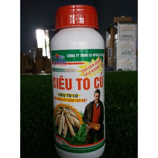 SIÊU TO CỦ APOLLO