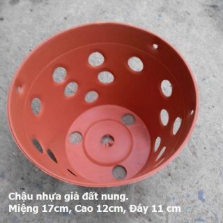 15 chậu giả đất nung phi 17 trồng lan chậu nhựa trồng lan