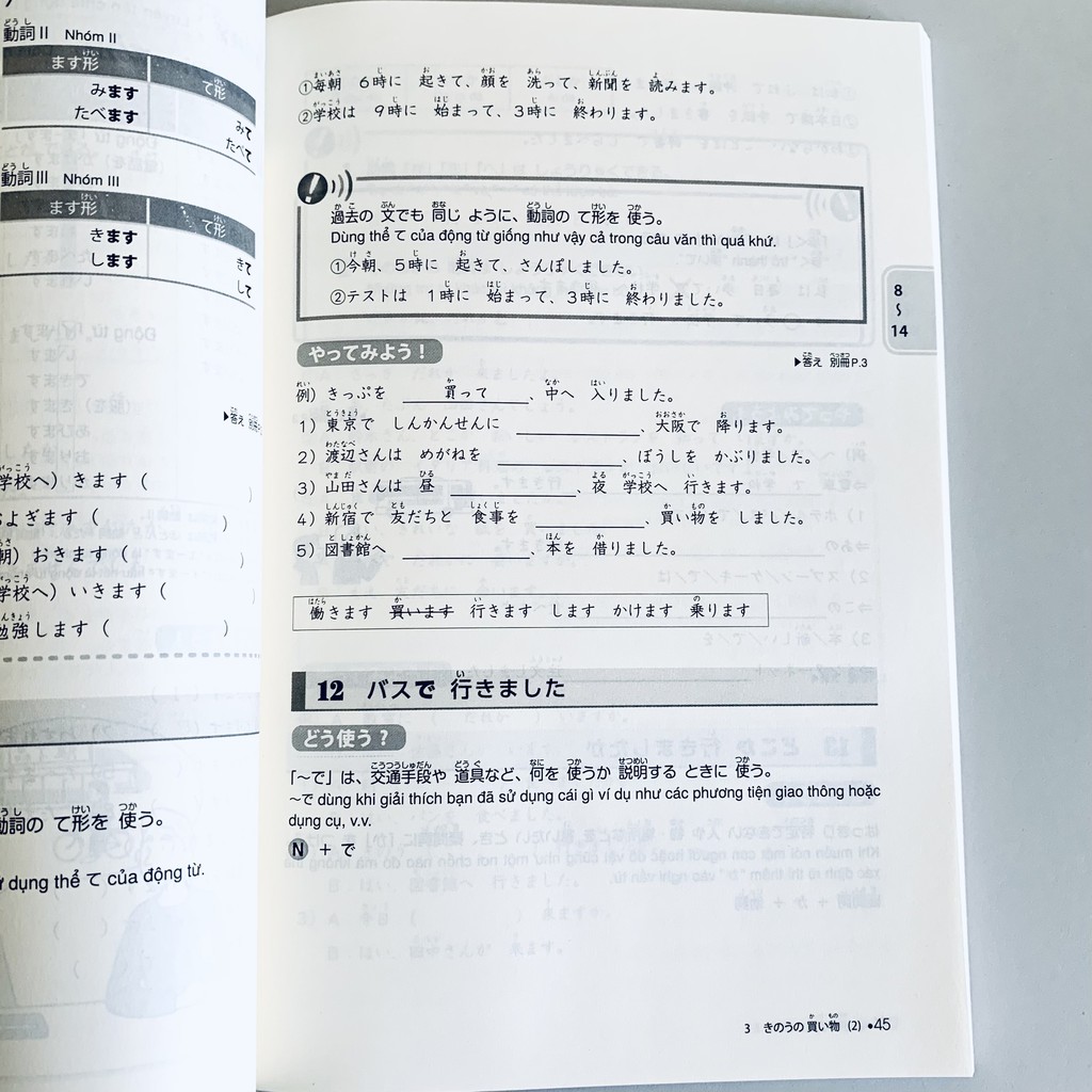 Sách - Giáo trình luyện thi năng lực tiếng Nhật Try! – N5