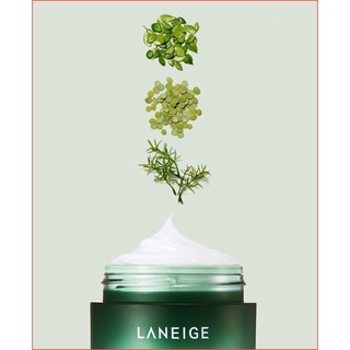 Mặt nạ ngủ Laneige cica sleeping mask