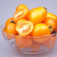 Hạt Giống Cà Chua Bi Vàng  -Ngon, Giàu Vitamin, Năng Suất Cao - MUA 3 TẶNG 1 CÙNG LOẠI KHUYẾN MẠI TRONG 1 NGÀY