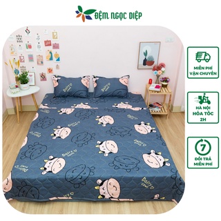 Set 4 Món Chăn Hè Trần Bông Ga Gối Poly Cotton Nhiều Mẫu