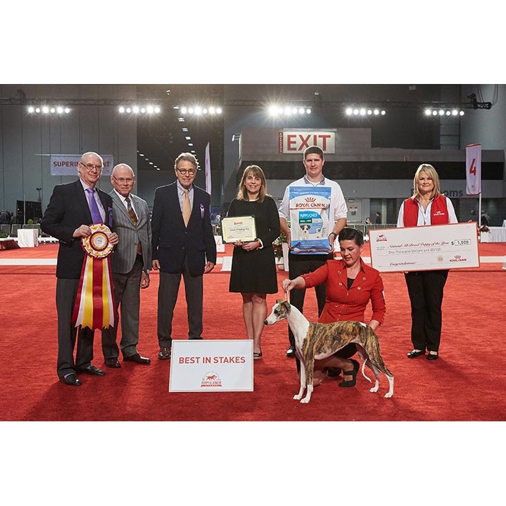 Hạt thức ăn Chó con Royal Canin Mini Puppy dành cho Chó con từ 2 tới 10 tháng tuổi giống nhỏ  Garé Pet Shop