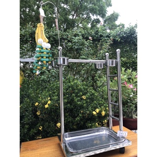 Cầu đứng inox có cầu thang nhập dành cho tất cả các dòng vẹt như xích, ring neck, hahn macaw, sun, lory, amazon, macaw